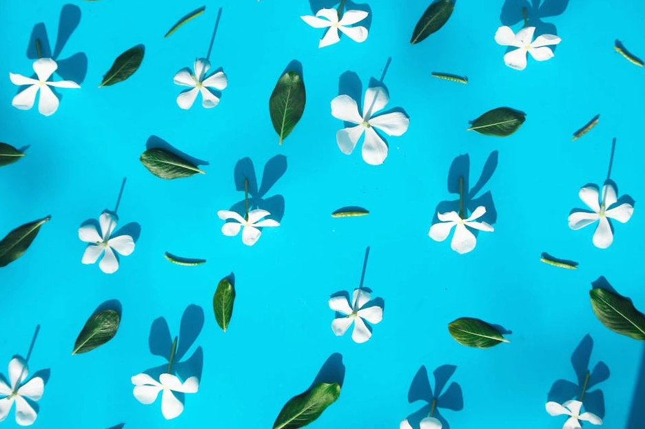 Kreatywny proces tworzenia identyfikacji wizualnej marki.